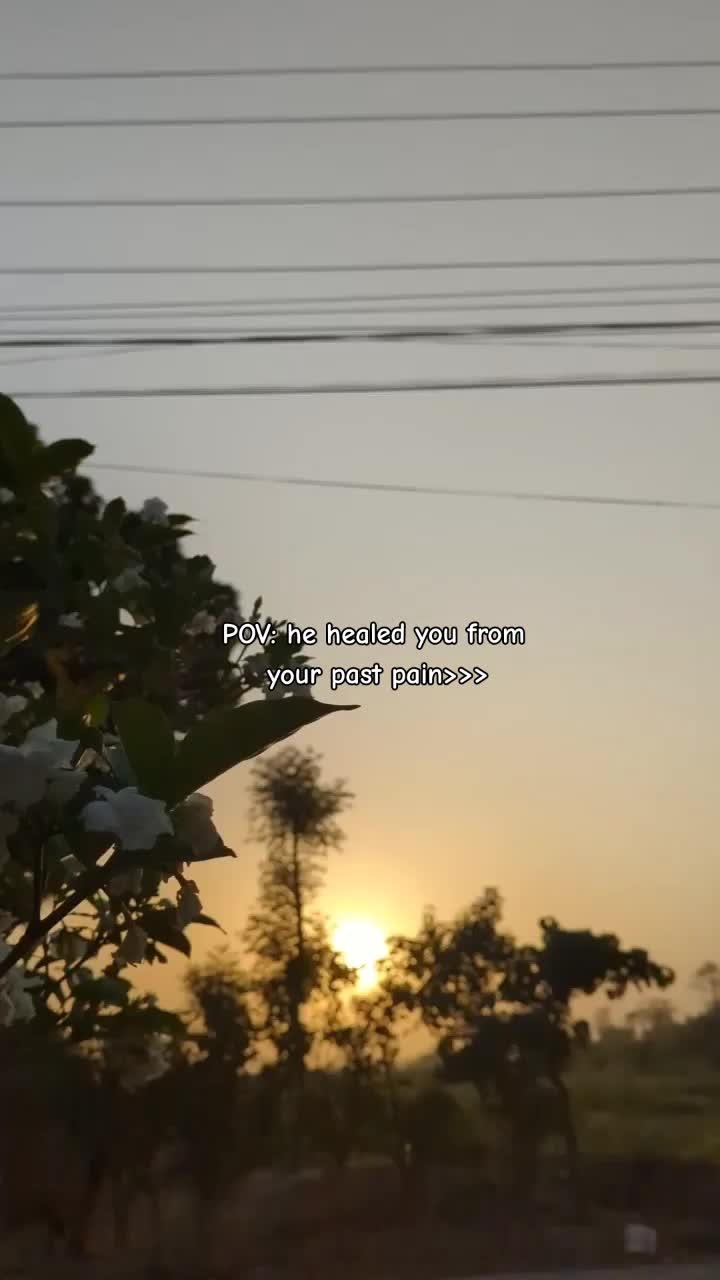 @🌷