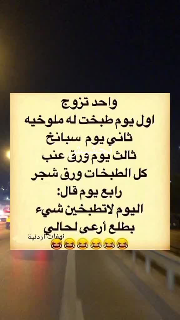 @y.alamer