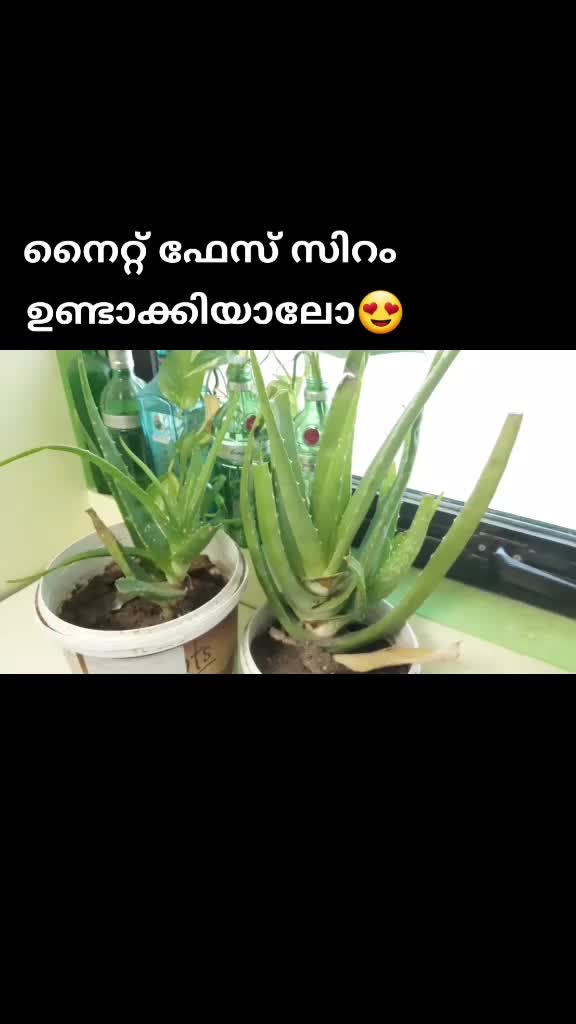 @Kannuzzz
