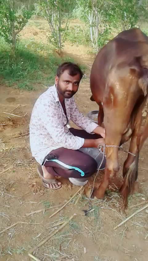 @Rutvik Desai