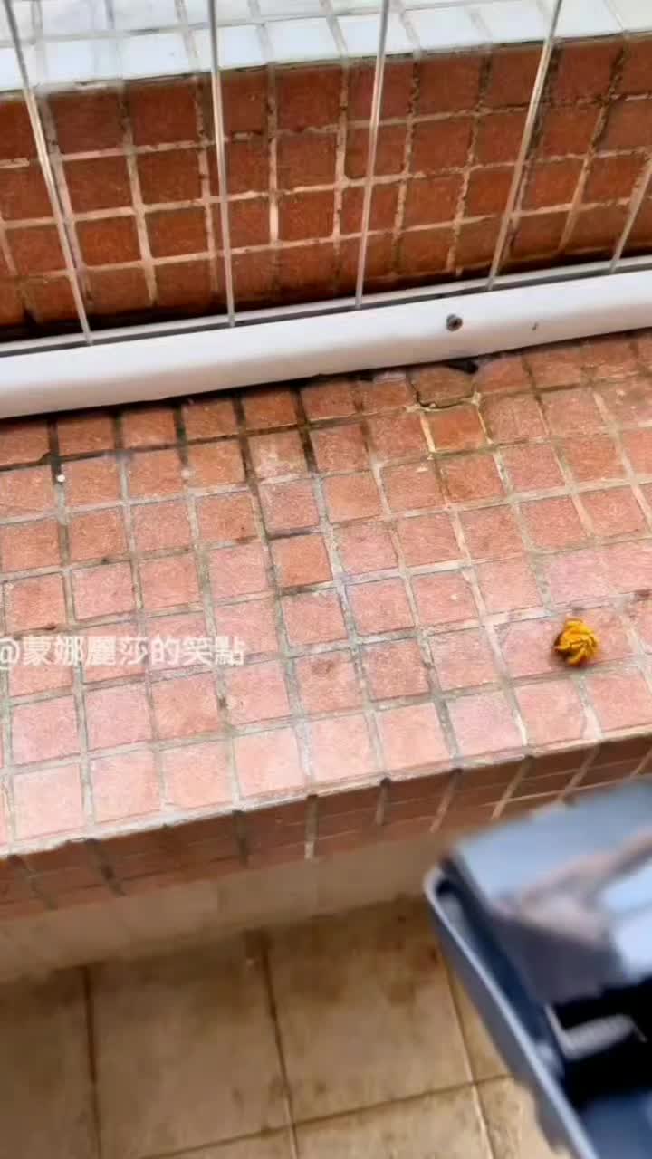 @💯㌫㌶[左手]㌍㌫💯