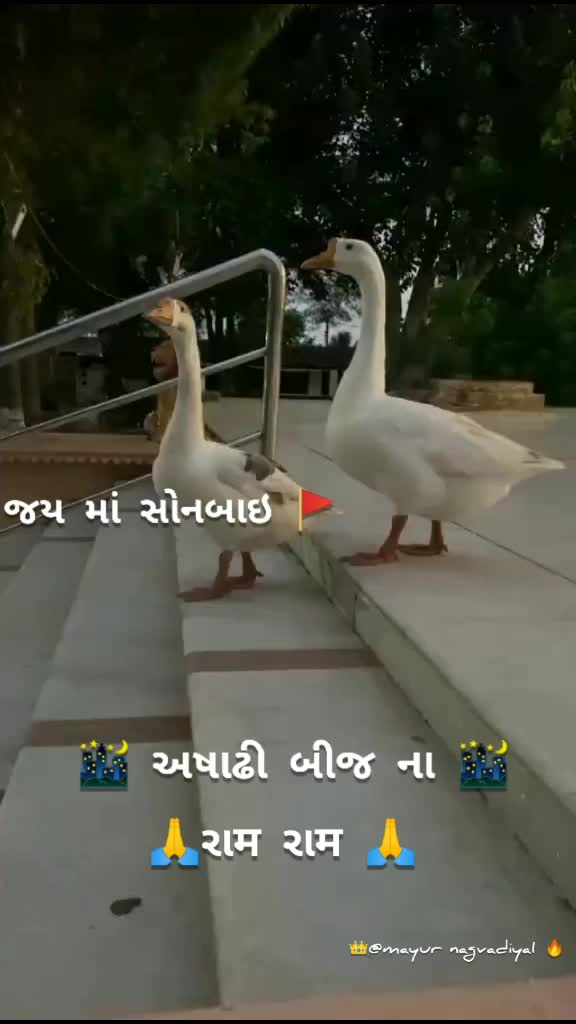 @𝖆𝖒ཞ__𝖘ཞ___302