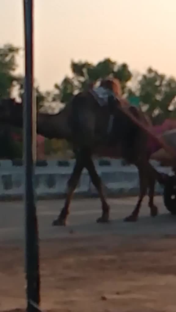 @Jagadhish Nayak