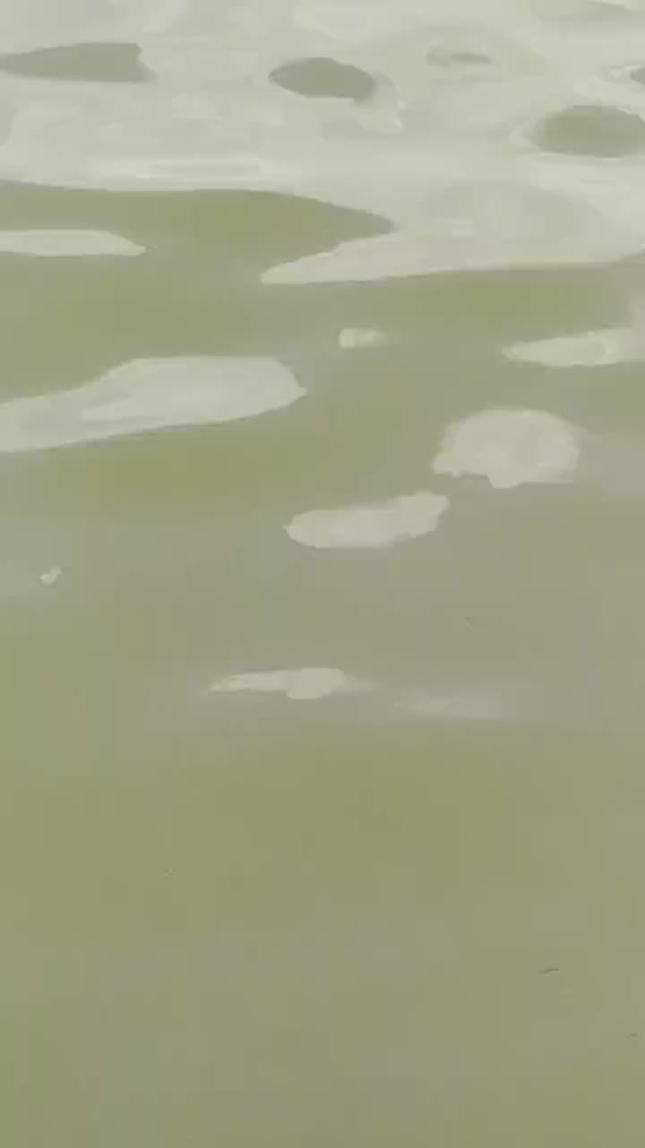 @Ravi Jatav