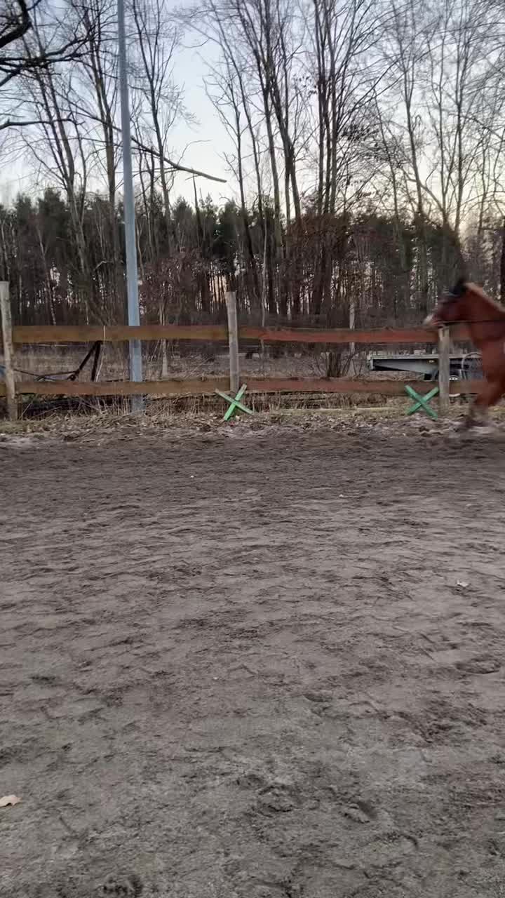 @W🦄