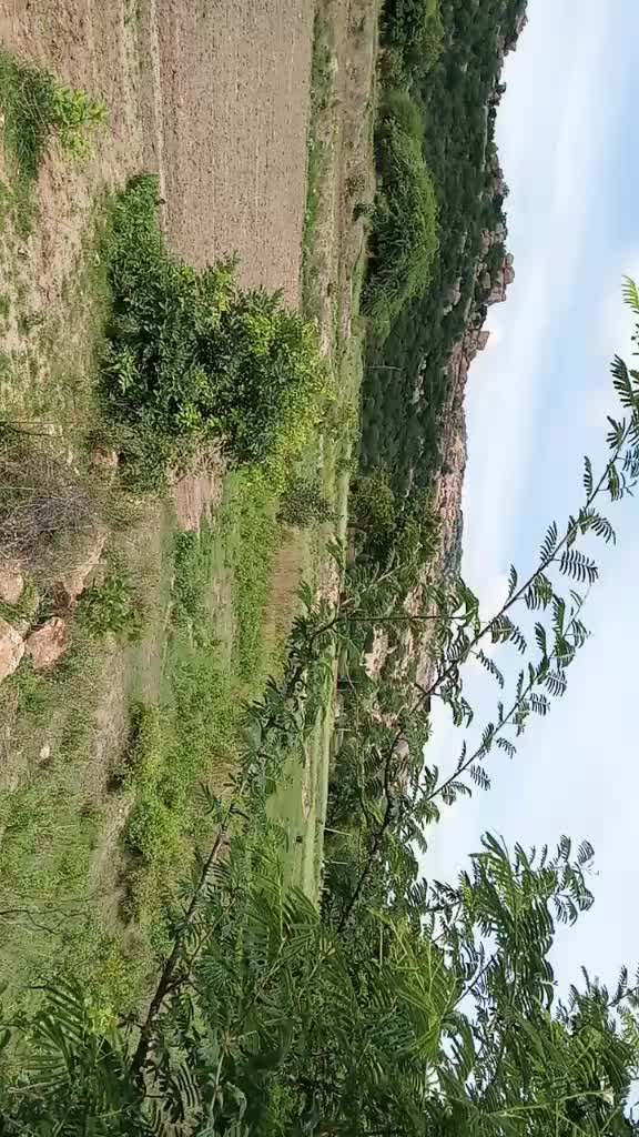 @@శైలు...యాదవ్. .....💞