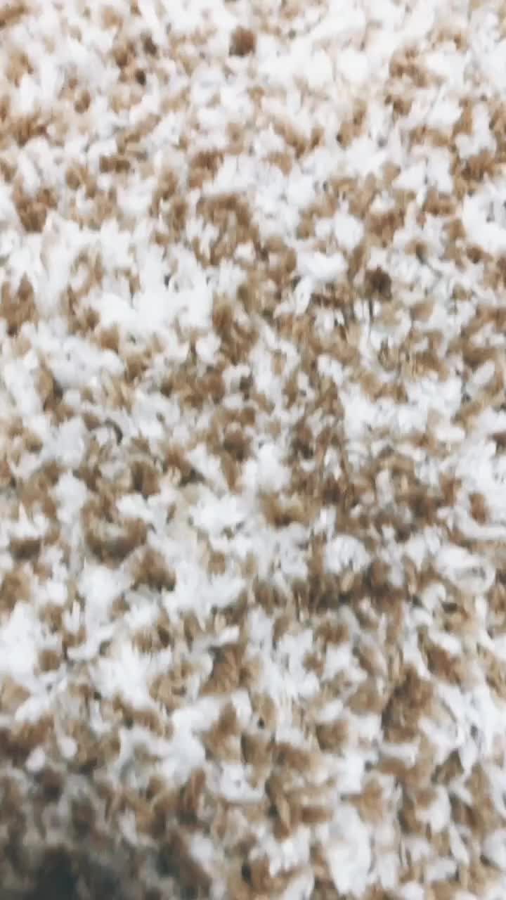 @Apple 🥀 (アップル 川上)
