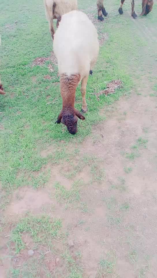 @KAMLESH RABARI