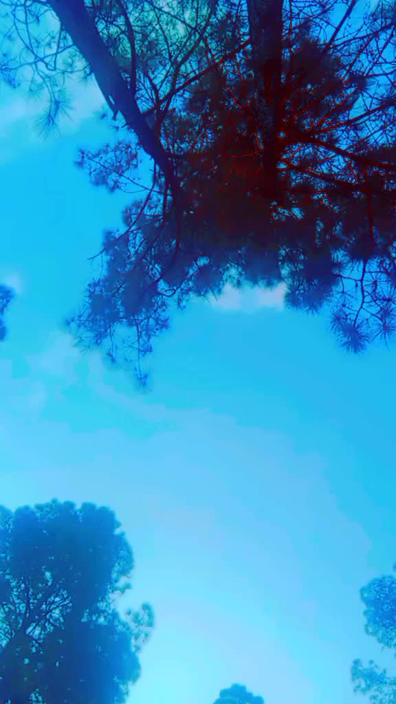 @L&ucirc;r&eacute;y S&atilde;rk&atilde;r