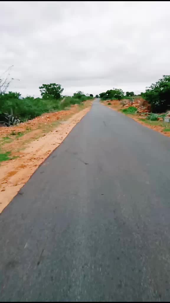@user viju tiger6356