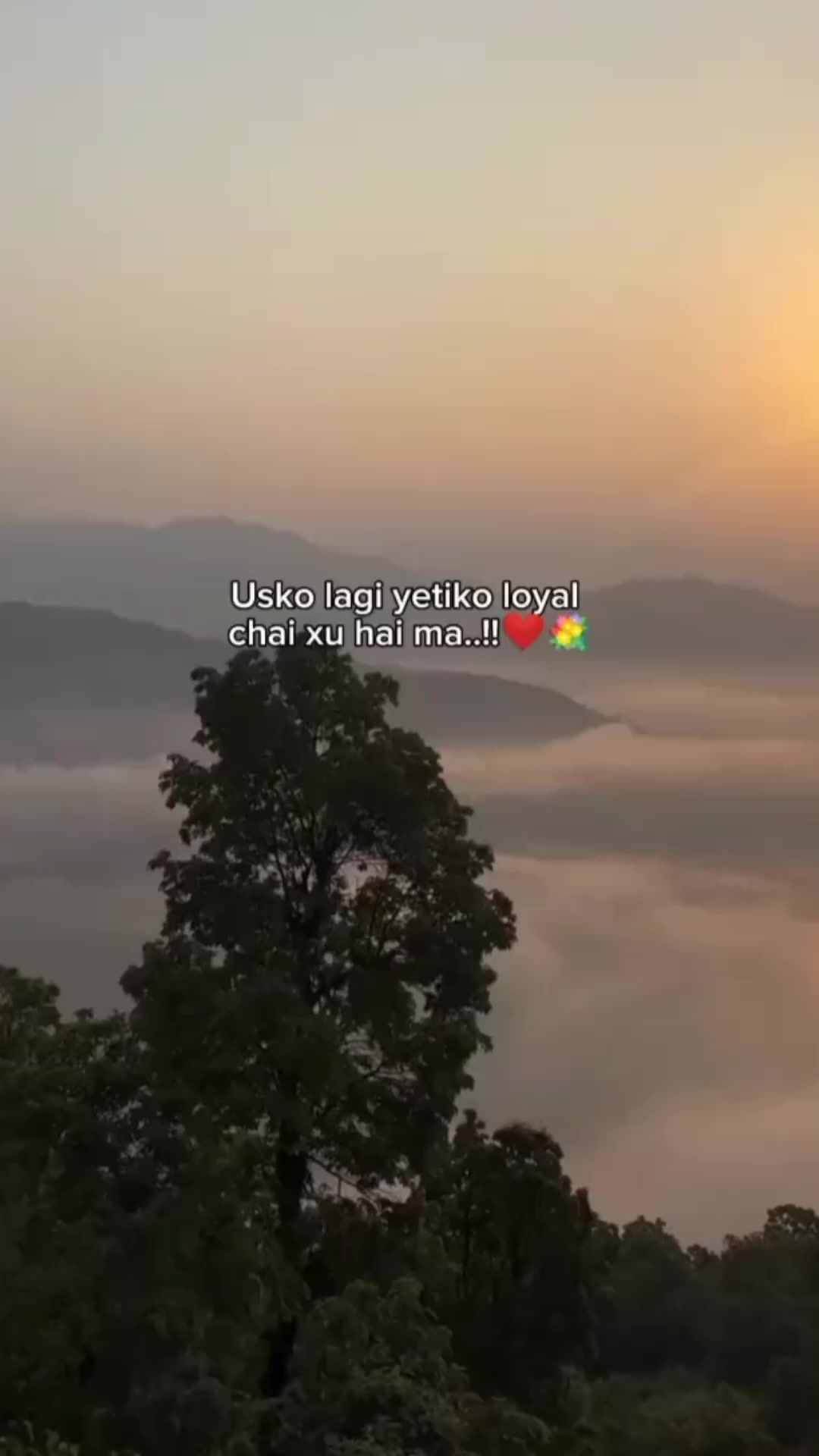 @👻