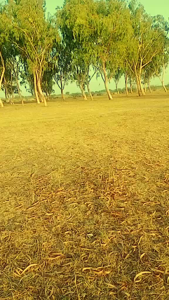 @amba lal gadri