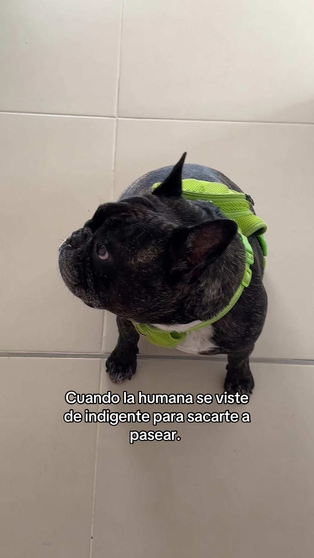 @Frine Molina