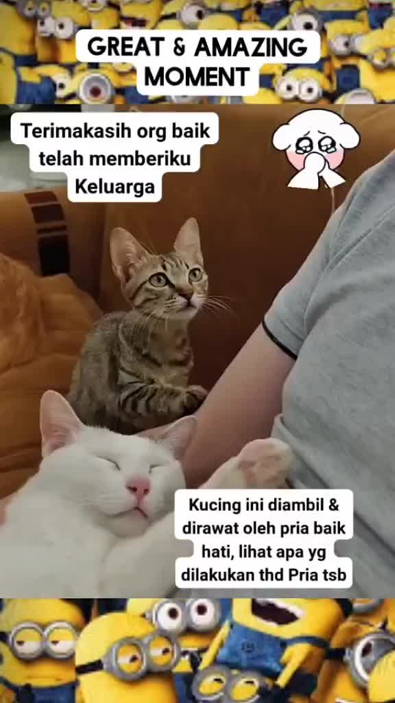 @inotlus