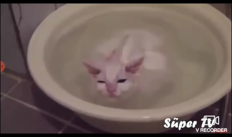 @burakyurtcu33
