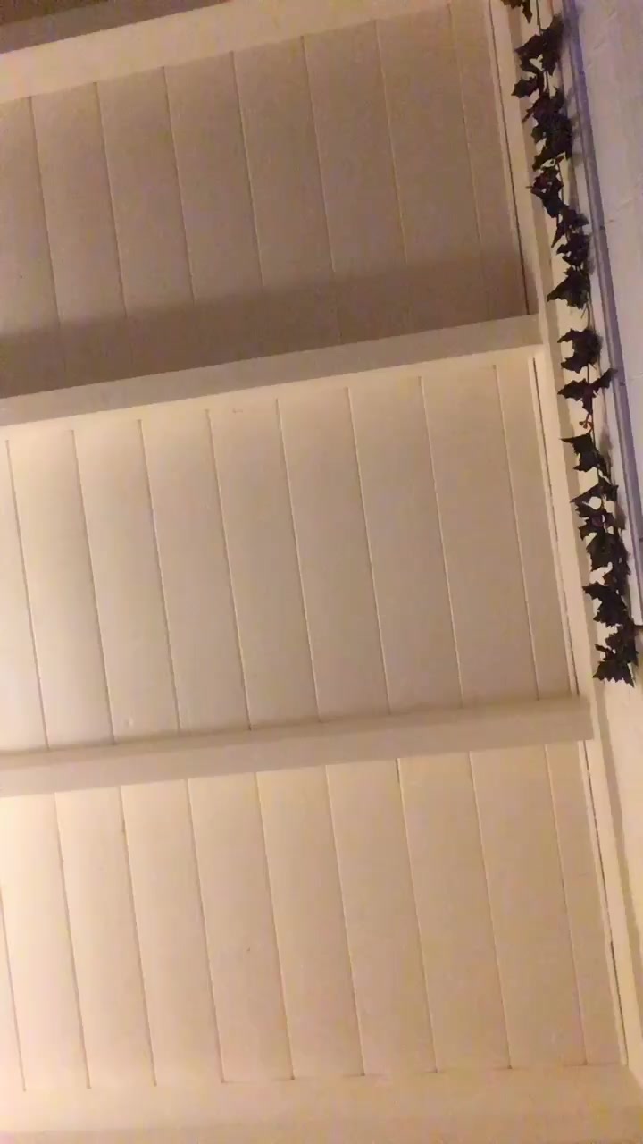 @Animallover123