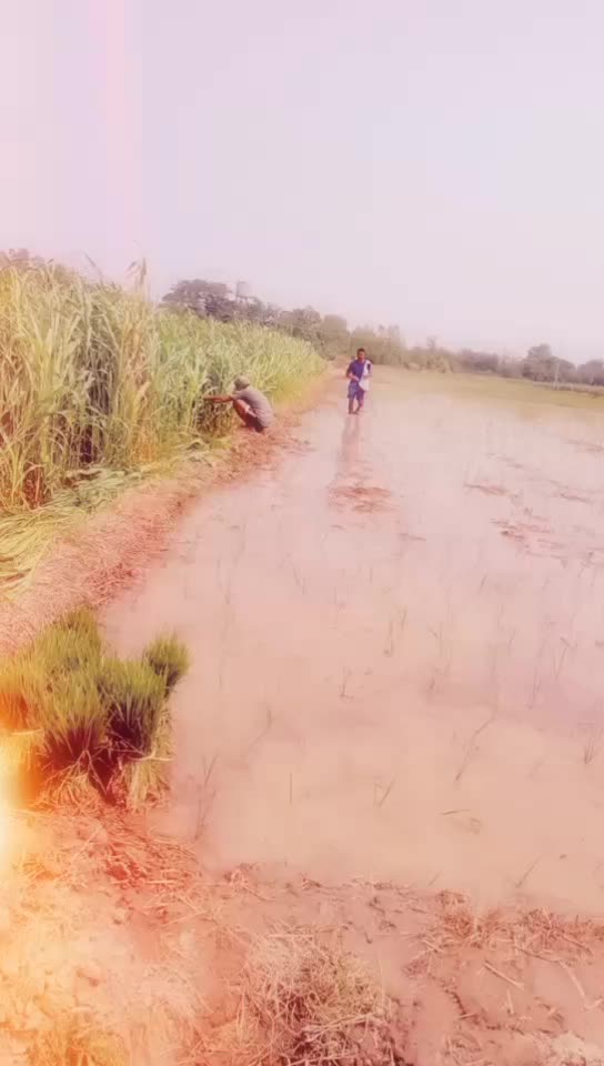 @babalnagra0001