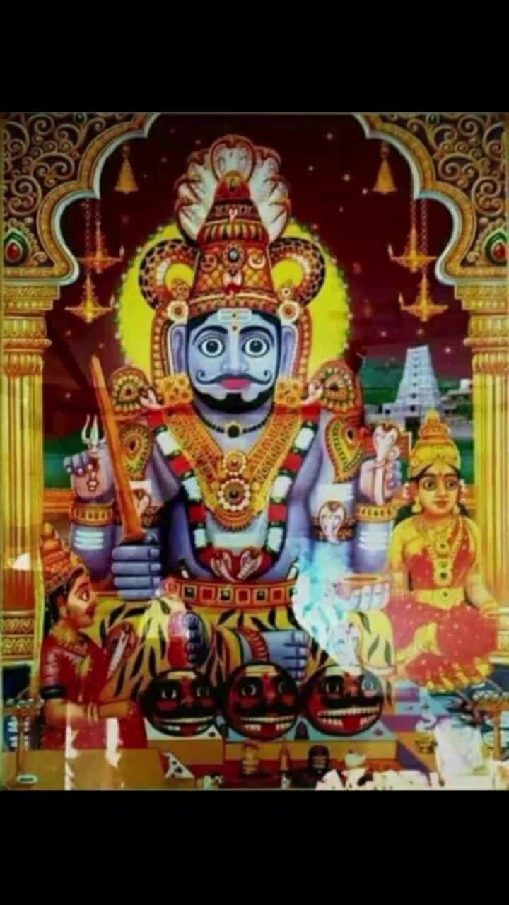 @user86774139773