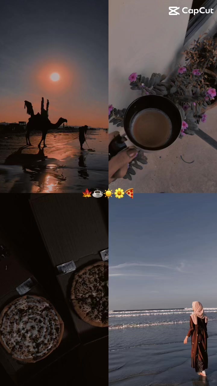 @Lifeof.aesthetics