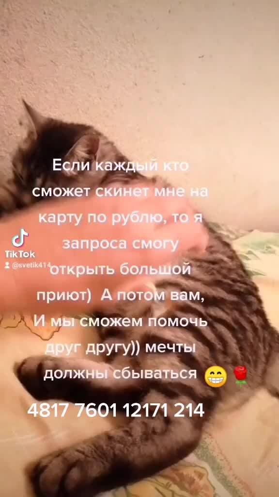 @Светлана М
