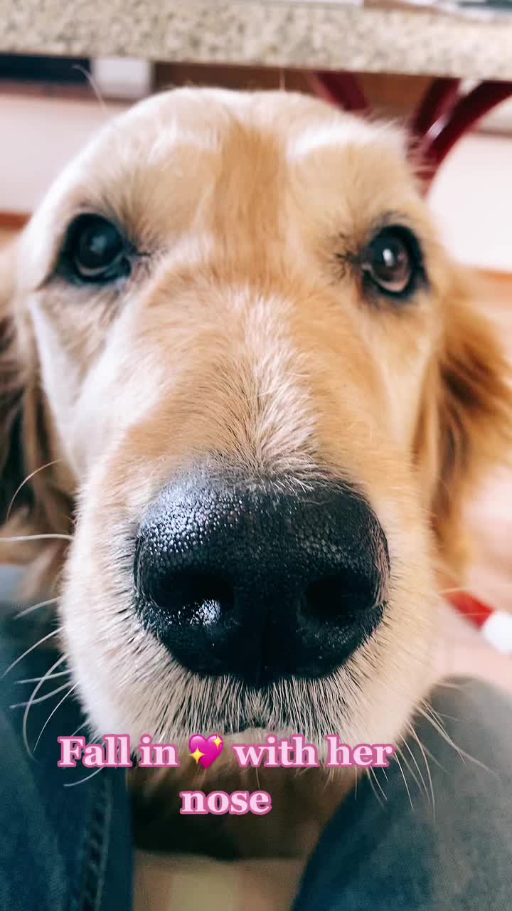 @🐶PENNY🐶