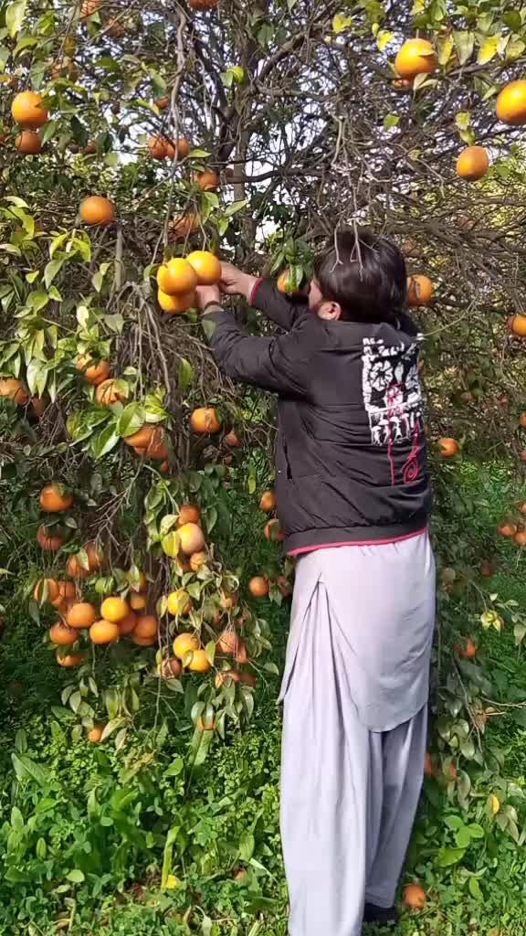 @Ghouri G3331