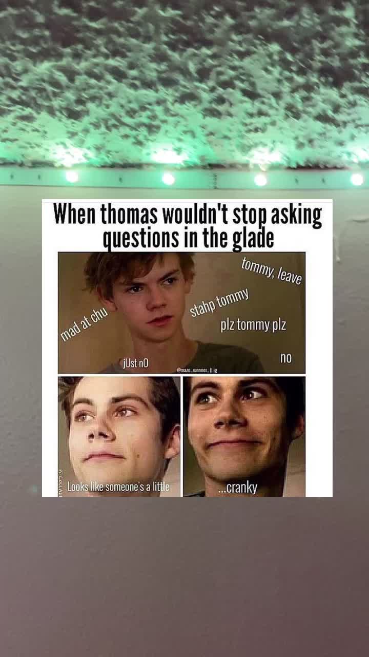 @Maze runner