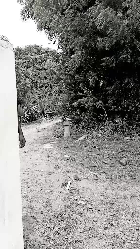@naveen nave