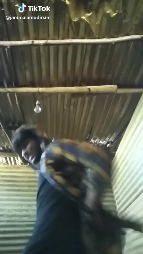 @user4973618665283