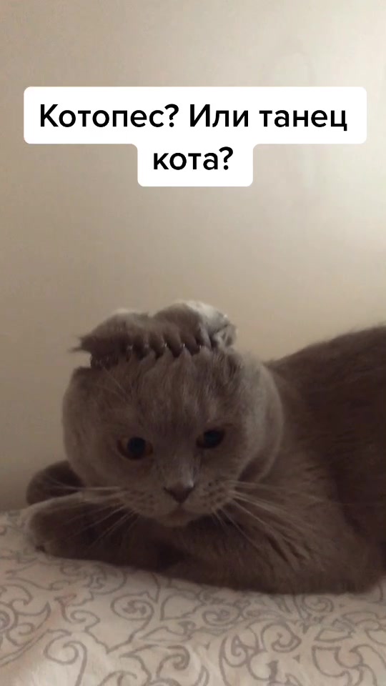 @Дарья Николаева
