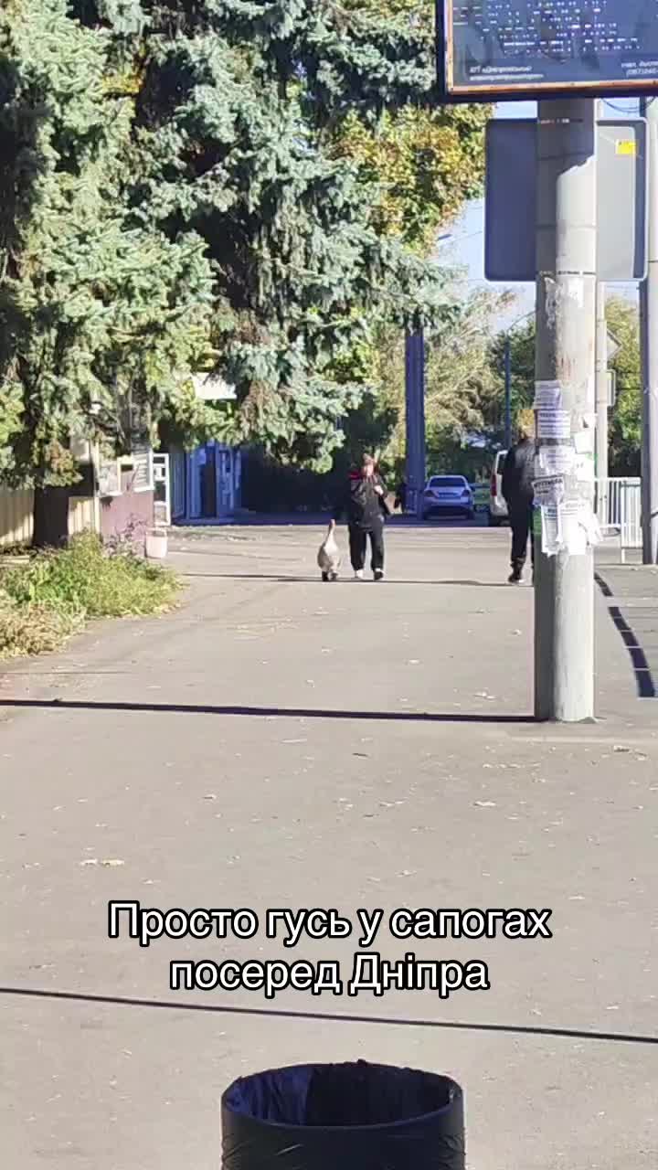 @Дніпро Оперативний