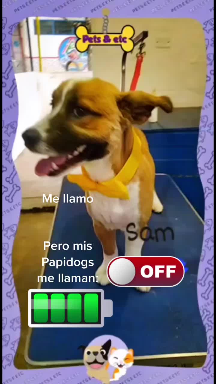 @SAM 🐾🦴