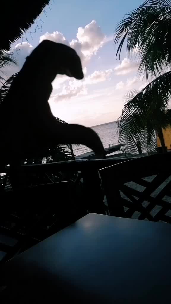@Ilena Fernandez Tama