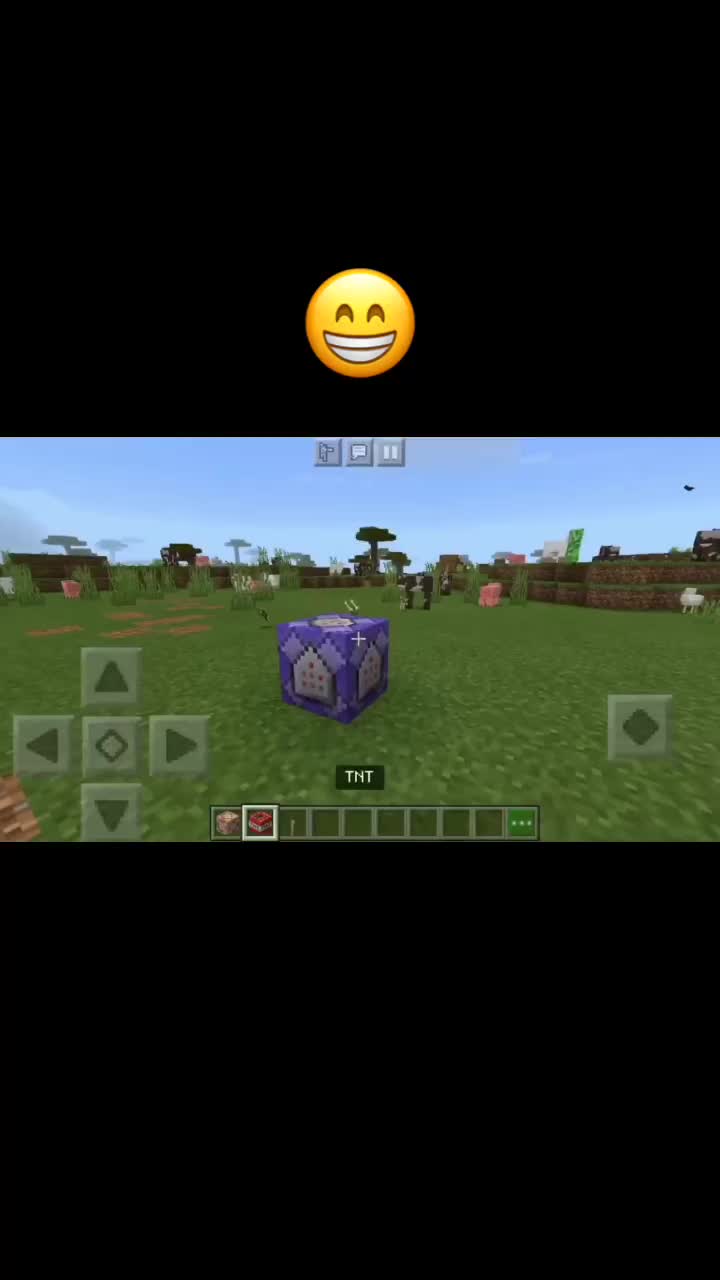 @Ginz44