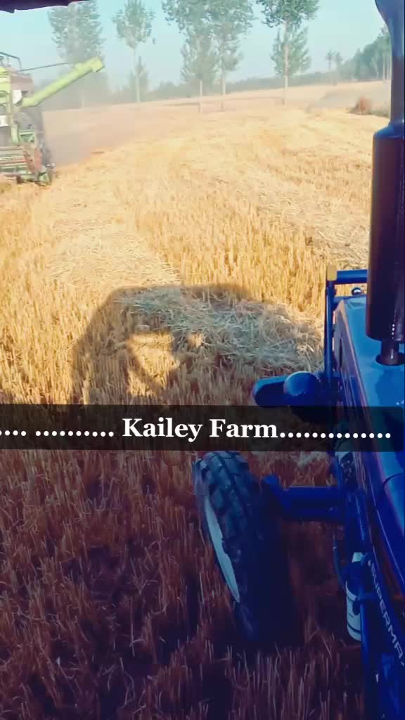 @kailey shaab up11