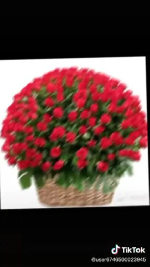 @anil love re boy