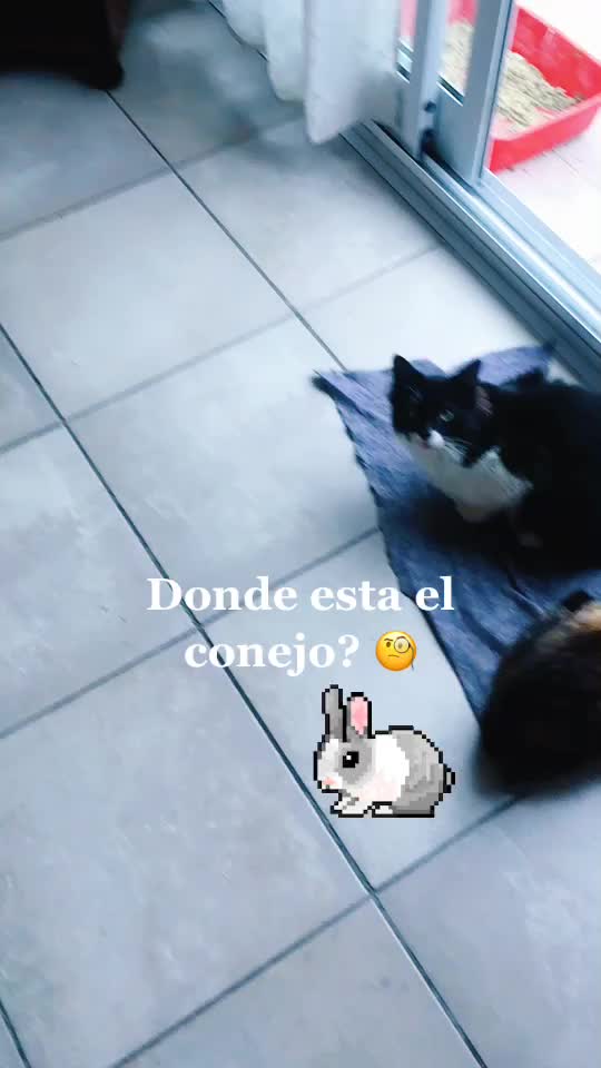 @Arthur Insfran