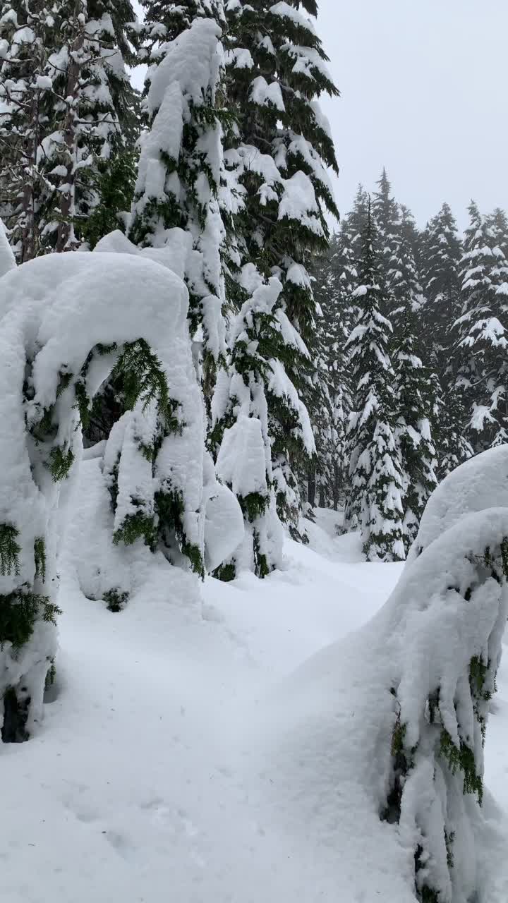 @PNW-Hikes