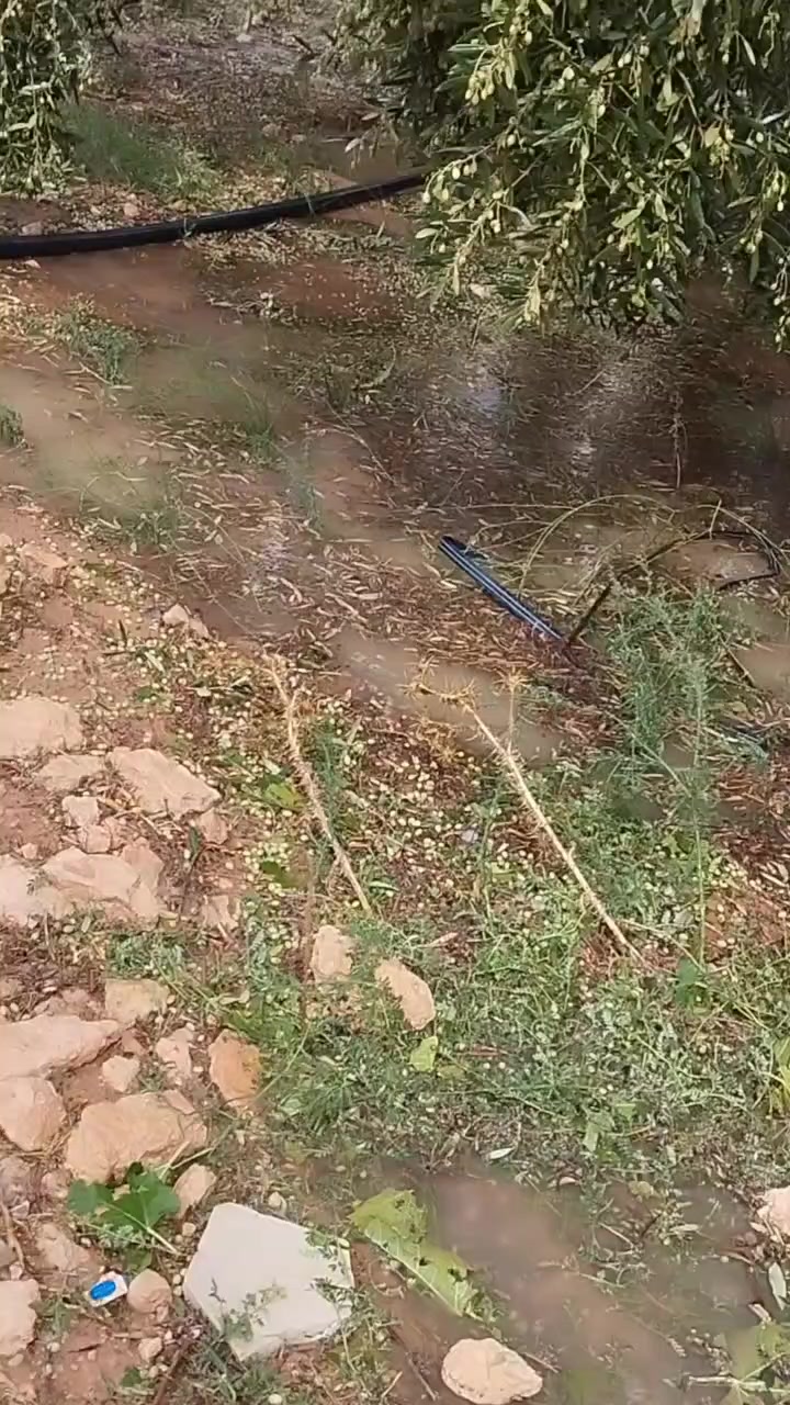 @علاء كرومة