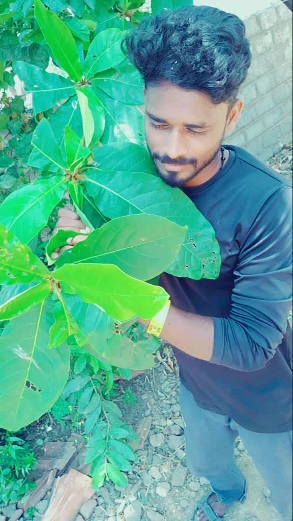 @sathiya