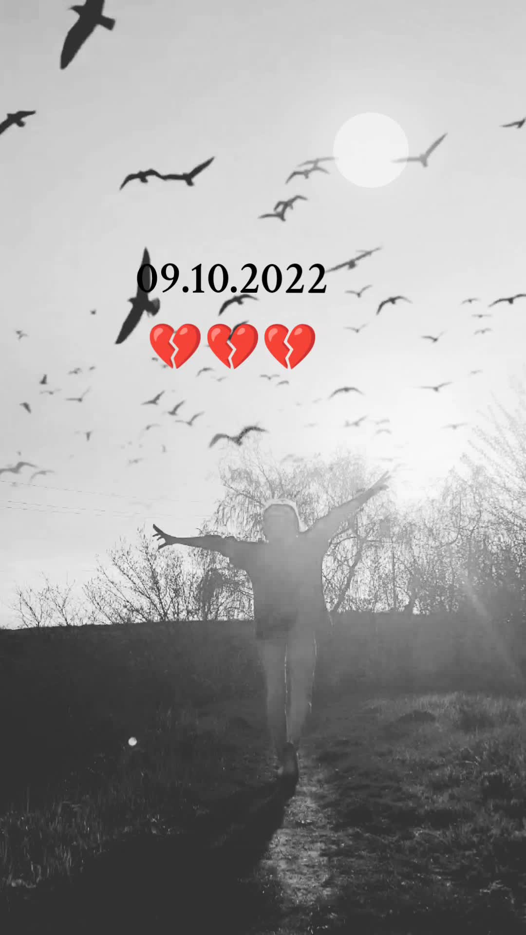 @Ninо Запорізька область ✌️💙💛