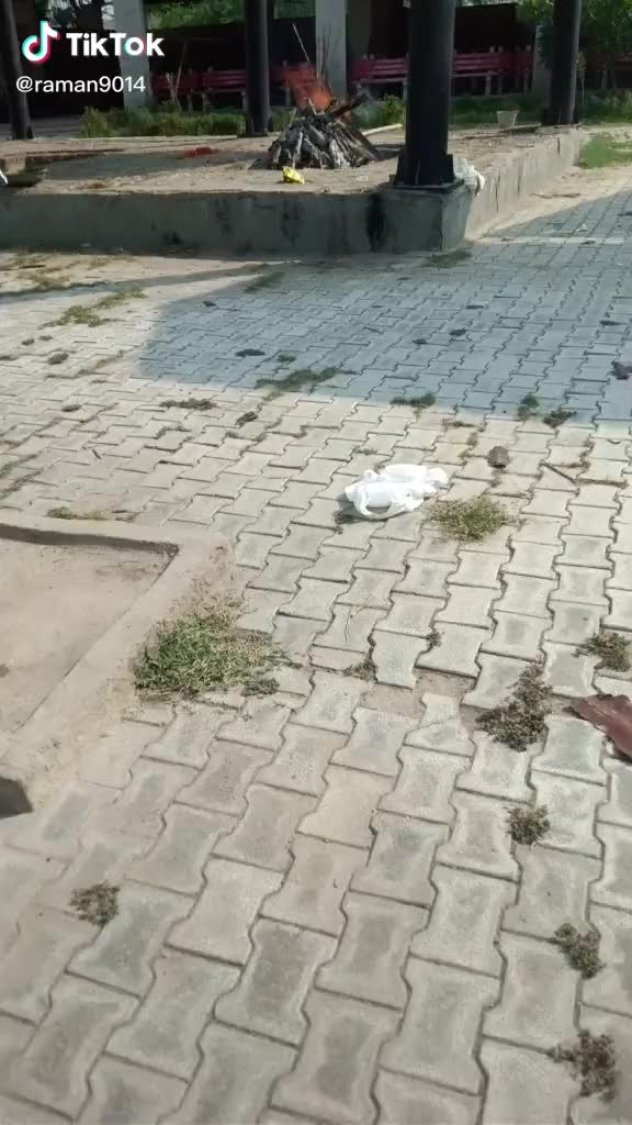 @LaxmiSharma740