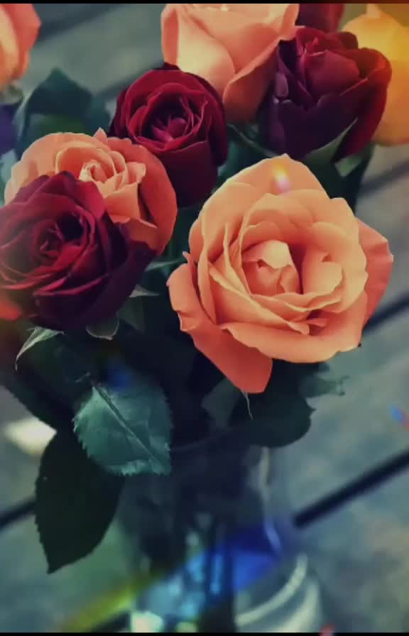 @__kitty__02