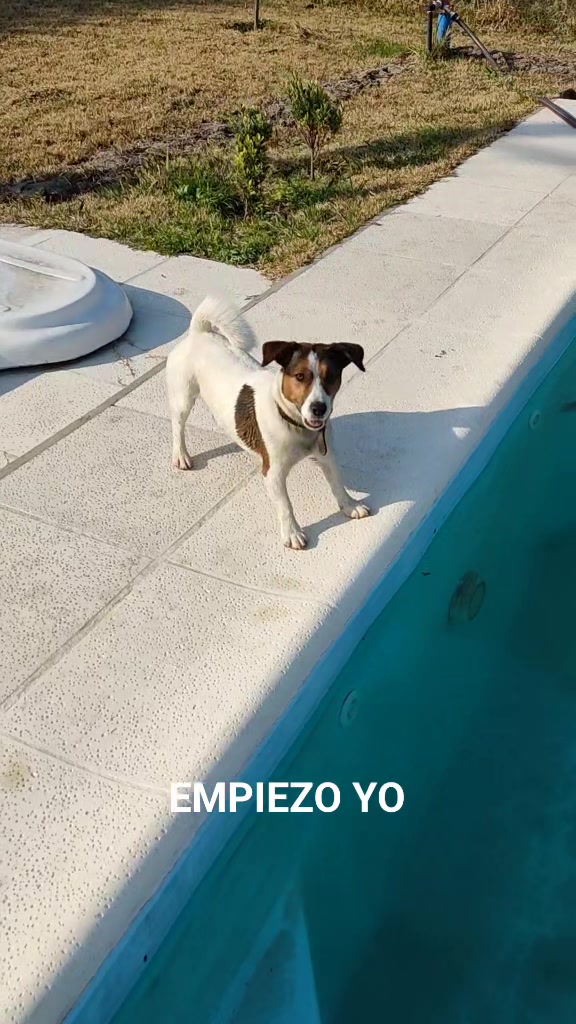 @Somos Teo y Tina