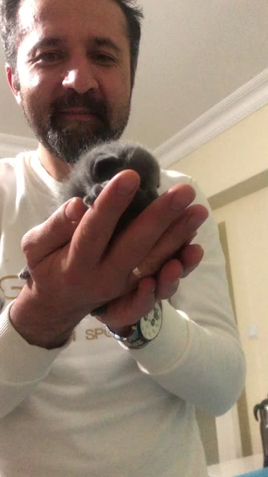 @Boncukun hesabı