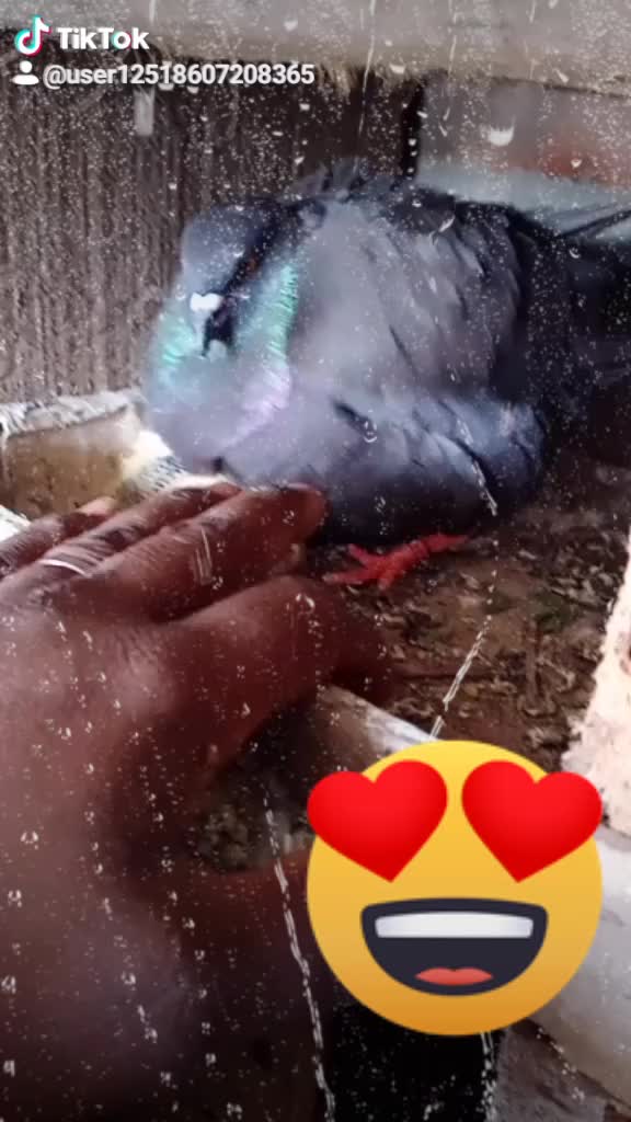 @user1251860720836