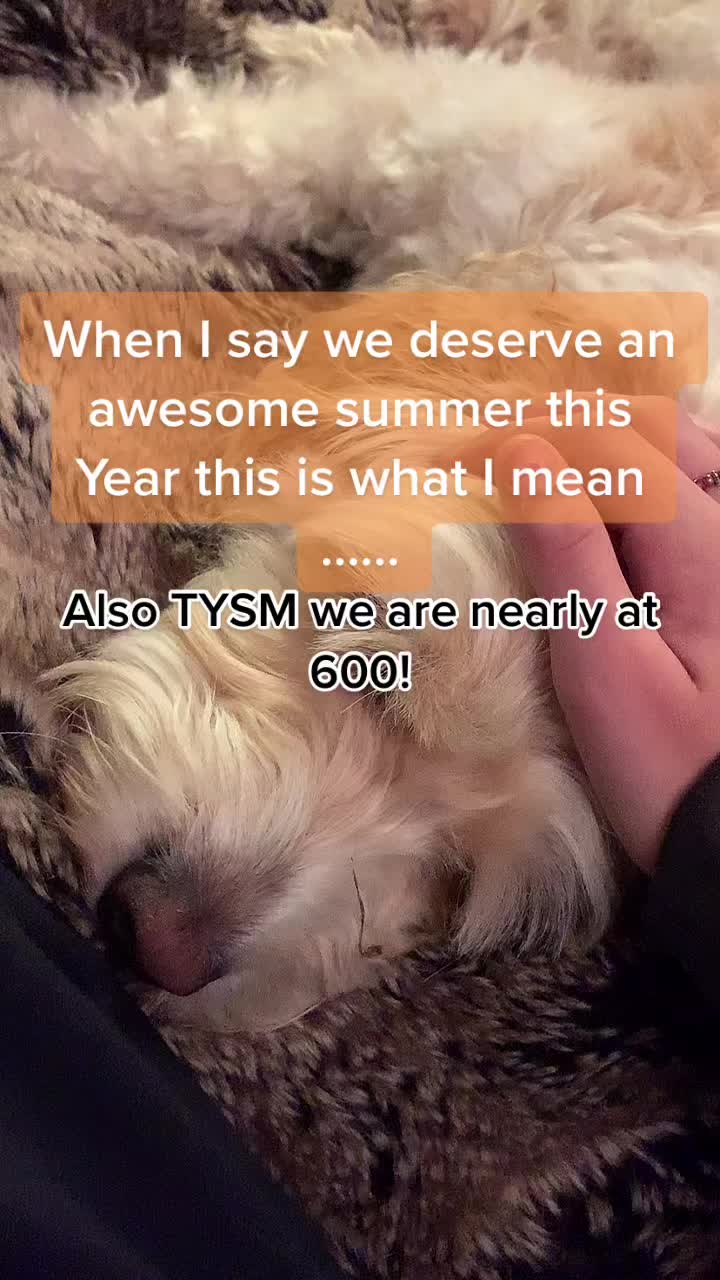 @randomtingz🤍