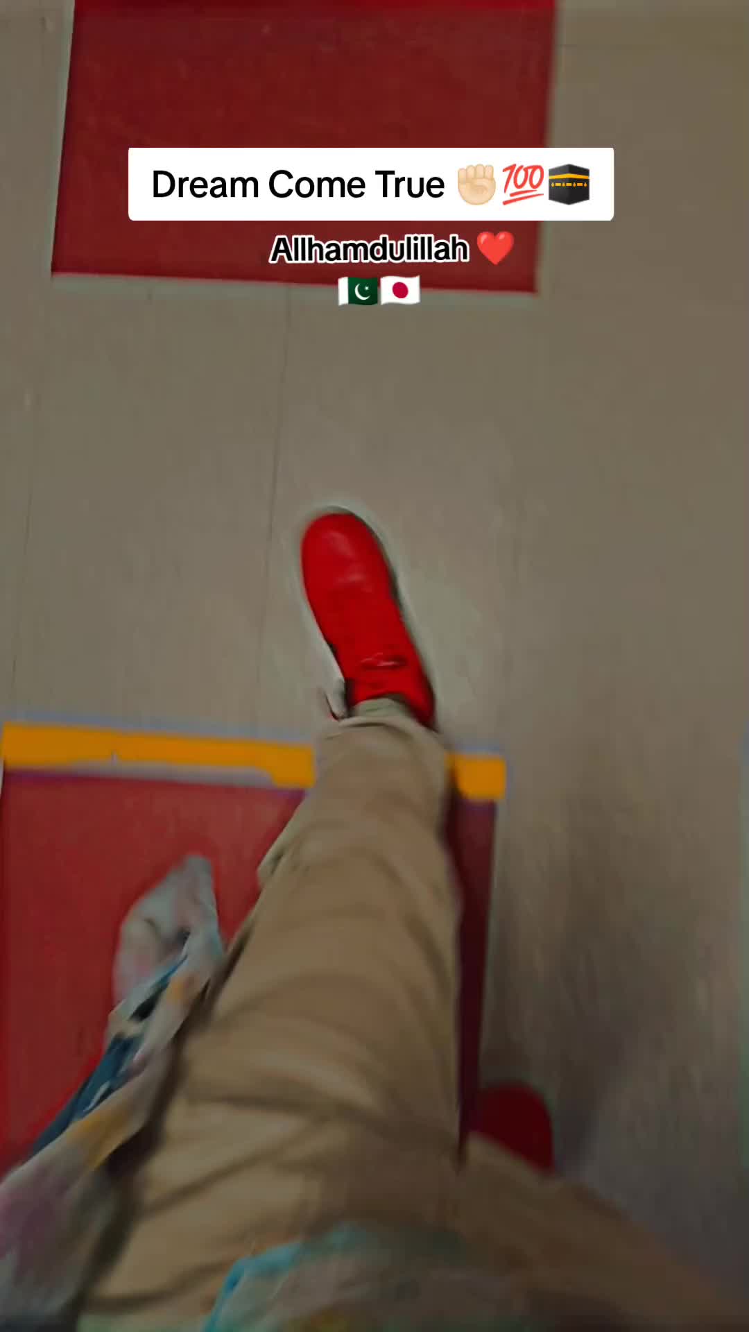 @Kintara Malik 🇯🇵🇵🇰