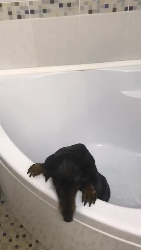 @МОНАВЛЮ