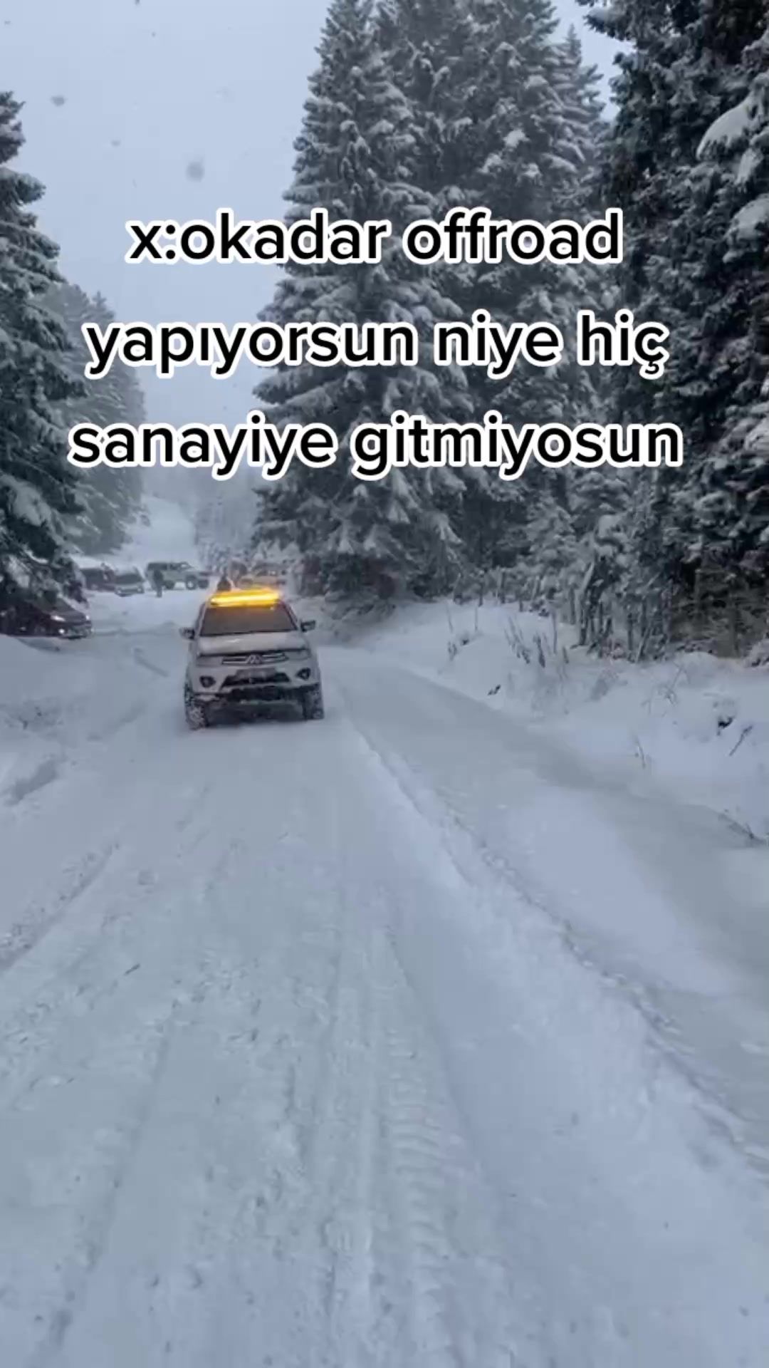 @arda şen